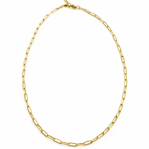 Cadena Élan dorada de eslabones en acero inoxidable sobre fondo blanco