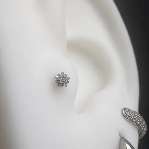 Piercing estrella plateado colocado en helix